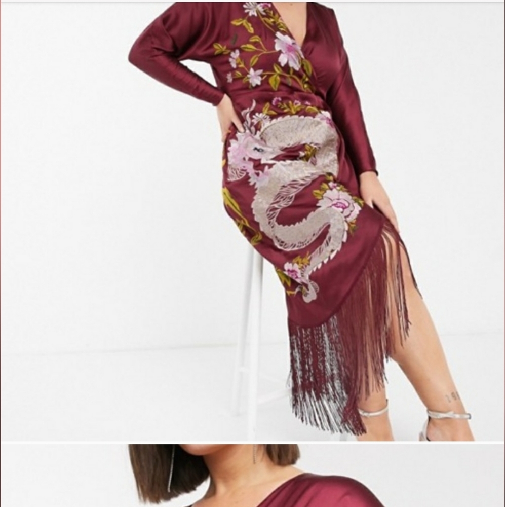 *ISO* ASOS Curve Embroidered Dress with Fringe